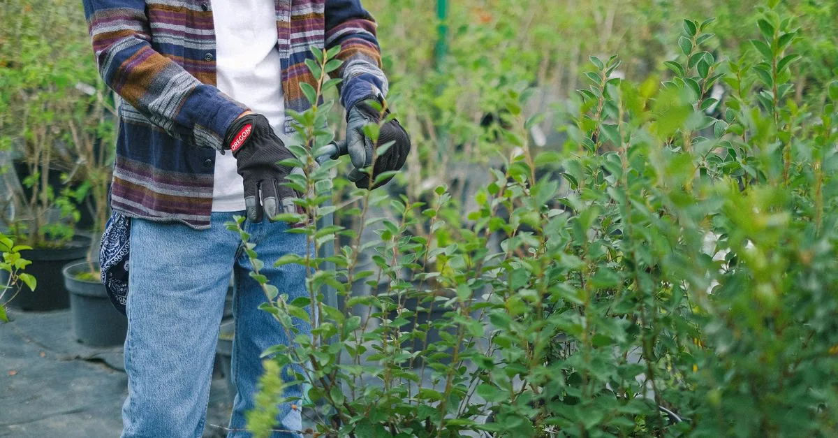découvrez des conseils pratiques et efficaces pour la taille des plantes afin de favoriser leur croissance et leur santé tout au long de l'année.