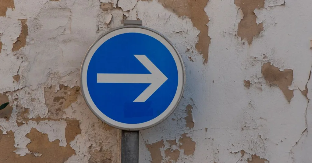 apprenez à résoudre rapidement le problème des trop nombreuses redirections sur wordpress avec ce guide simple et efficace.