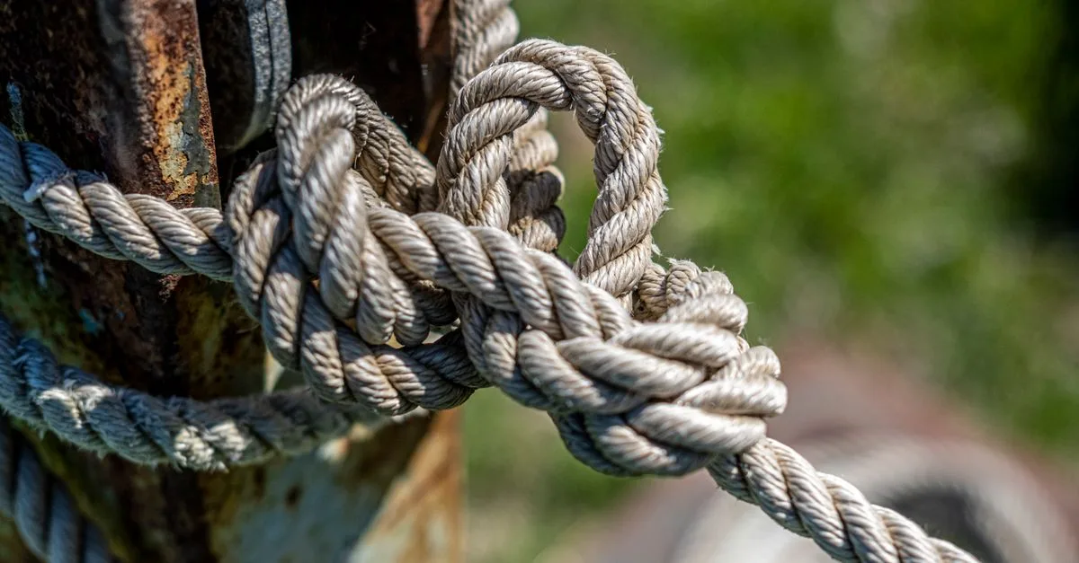 découvrez comment changer l'url de wordpress sans provoquer de boucle de redirection, avec des solutions simples et efficaces pour éviter les erreurs courantes.