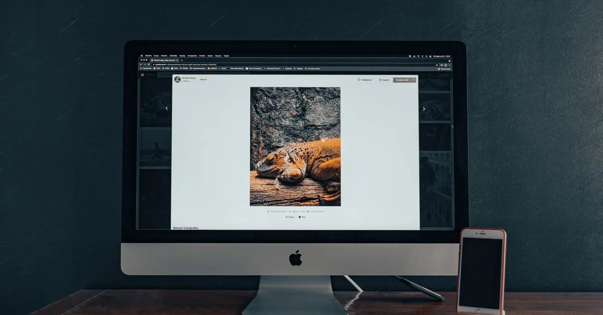conversion automatique des images en format webp pour un chargement plus rapide et une optimisation optimale de votre site web.