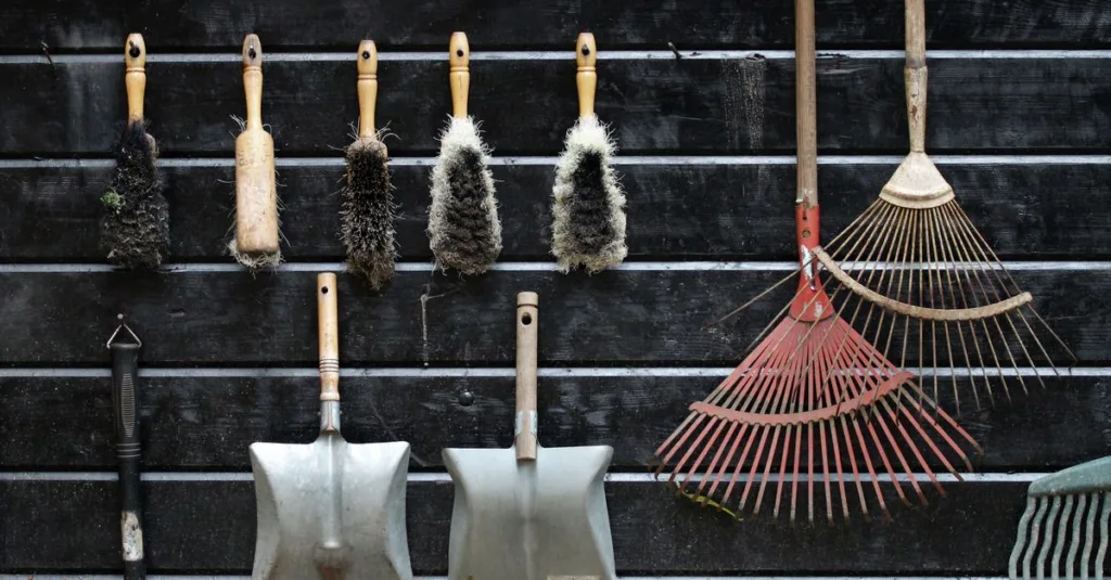 apprenez à nettoyer efficacement les transients wordpress pour améliorer les performances et la vitesse de votre site web.